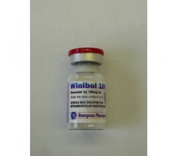 Winibol 100